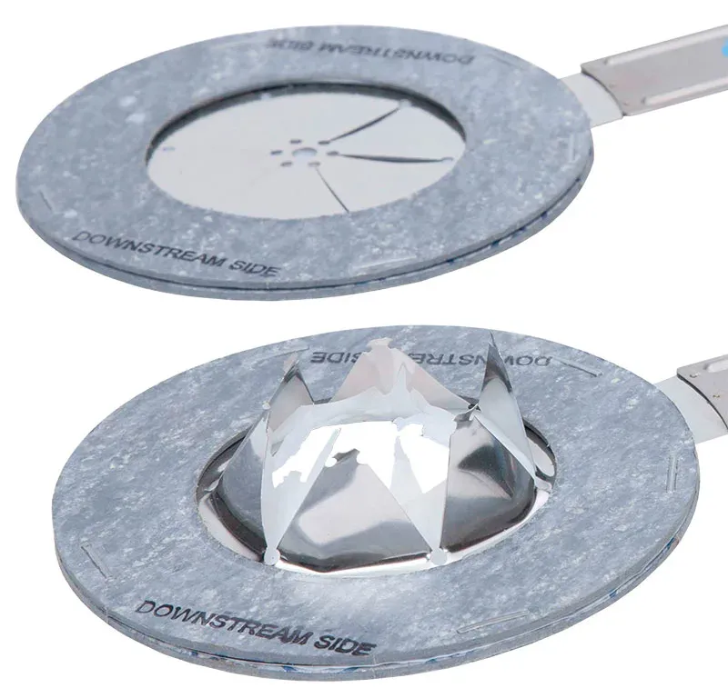 Rupture Disc with Isolation Seal