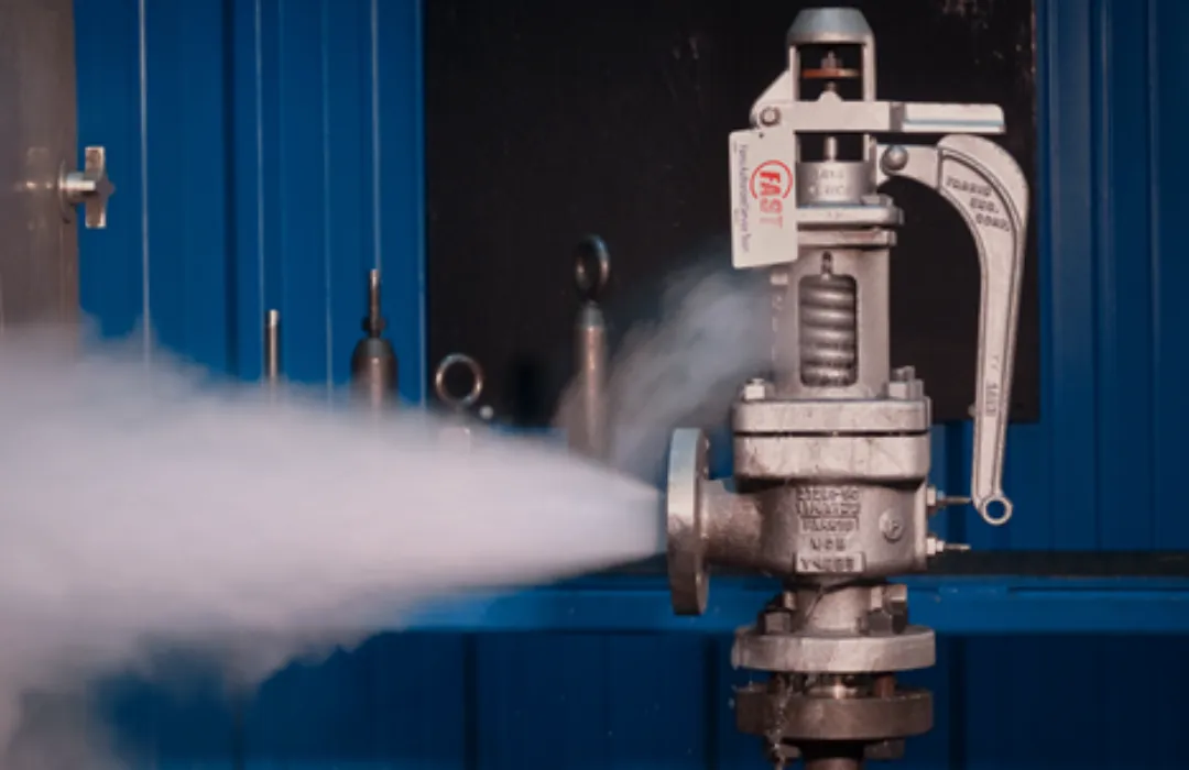 Pressure Relief Systems